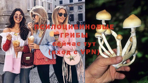 гидра Балахна